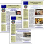 Newsletters Printing
